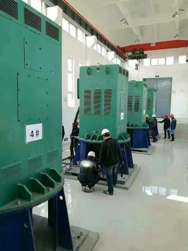 化州某污水处理厂使用我厂的立式高压电机安装现场